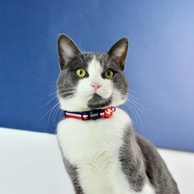 Dashi Stripes Red & Blue Cat Collar - red and blue striped collar for cats.