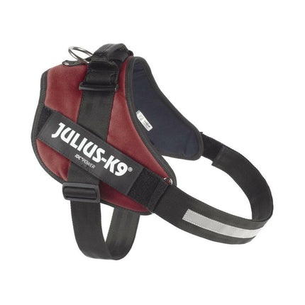 Julius - K9 IDC Powerharness Bordeaux - Brown - high-quality harness for dogs, Bordeaux color.