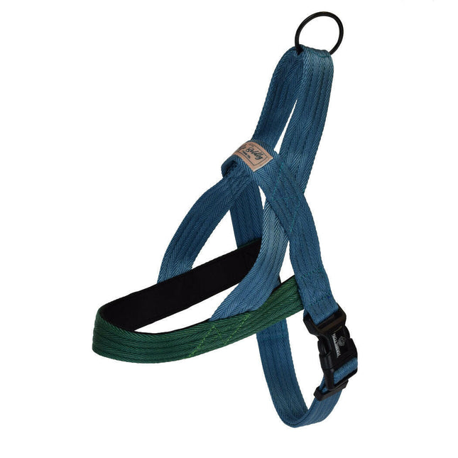Hamilton Go Boldly Harnesses - soft, nylon Norwegian harnesses for dogs.