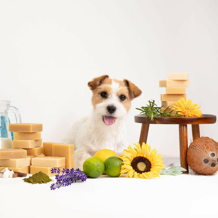 Show Tech Bubble Bliss Shampoo Bar - shampoo bar for dogs.
