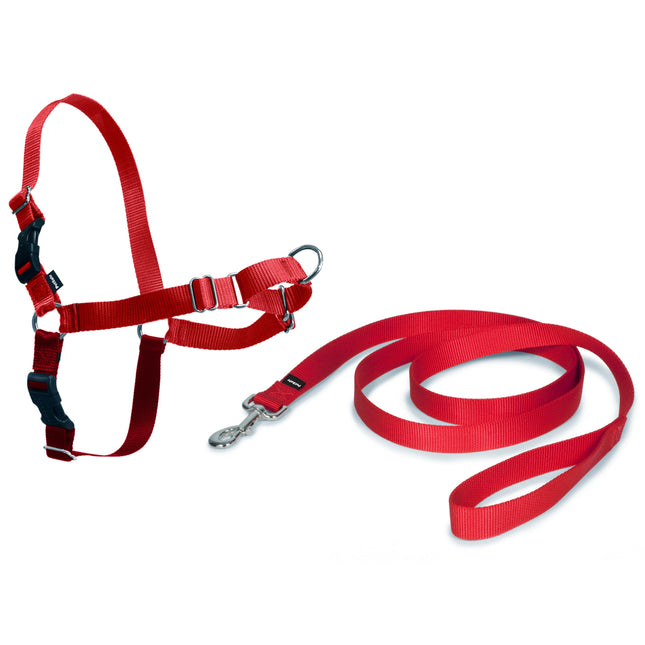 PetSafe Easy Walk Harness - harness and leash set for dogs.