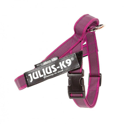 Julius - K9 IDC Color&Gray Belt Harness Pink - belt harness, dog harness, fuchsia.