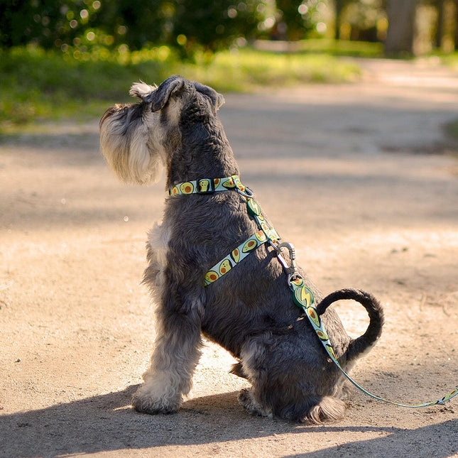 Dashi Avocado Back Harness - adjustable guard harness for dogs, avocado pattern.