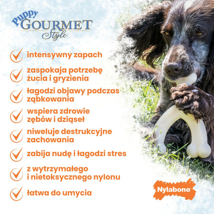 Nylabone Puppy Gourmet Bacon Femur - puppy bone with an intense bacon scent.