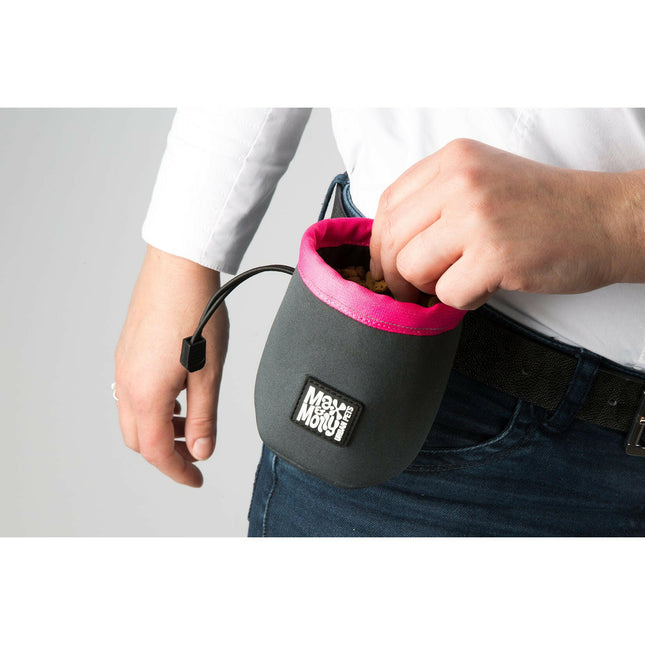 Max&Molly Treat Bag Sky - waterproof pouch for dog treats.
