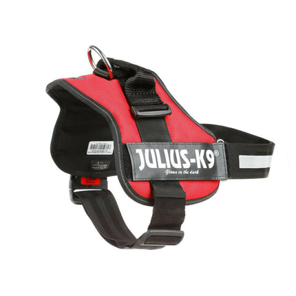 Julius K9 Powerharness - harness for dogs.