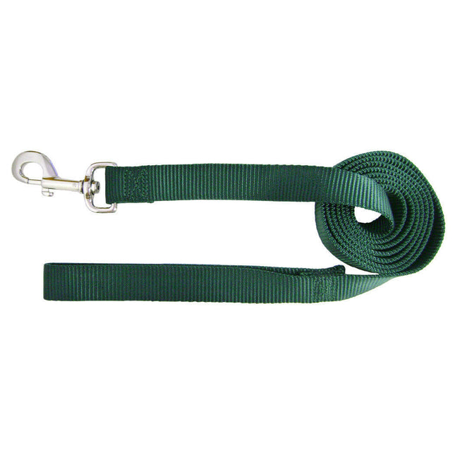 Hamilton Single Thick Leash Short - nylon leash for medium and large breed dogs, width length 122cm.