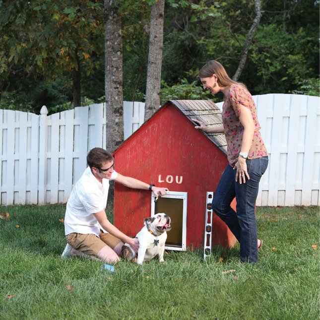 PetSafe Extreme Weather Pet Door - Insulated Door for Dogs and Cats.