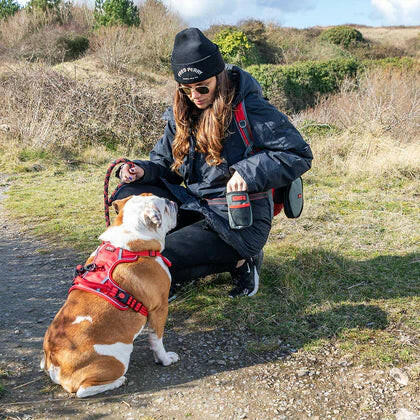 KONG Travel Train & Treat Bag - dog treat pouch.
