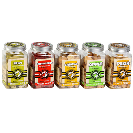 Kiwi Walker Snacks Kiwi - 100% kiwi, freeze-dried, natural treats for dogs and cats.
