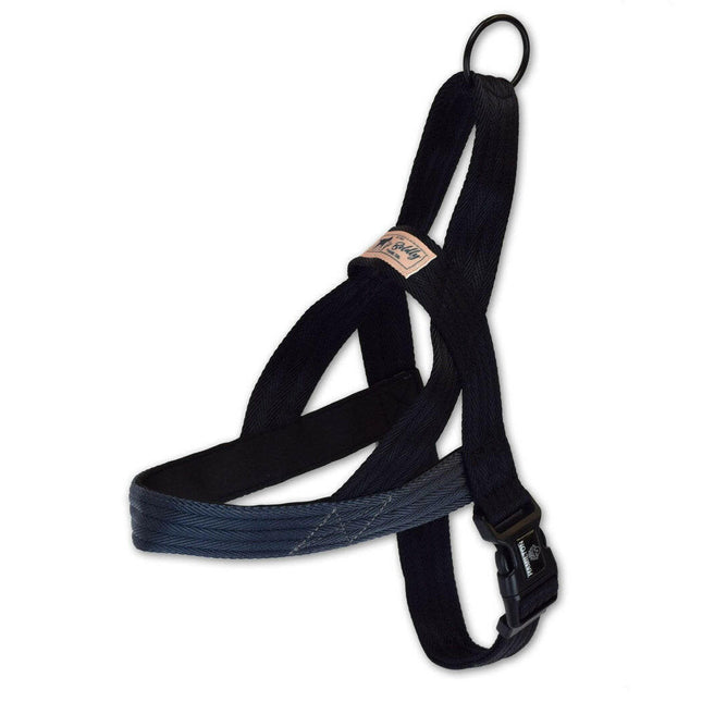 Hamilton Go Boldly Harnesses - soft, nylon Norwegian harnesses for dogs.