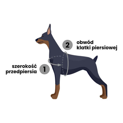 PetSafe Easy Walk Harness - harness and leash set for dogs.