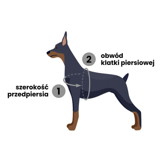 PetSafe Easy Walk Harness - harness and leash set for dogs.